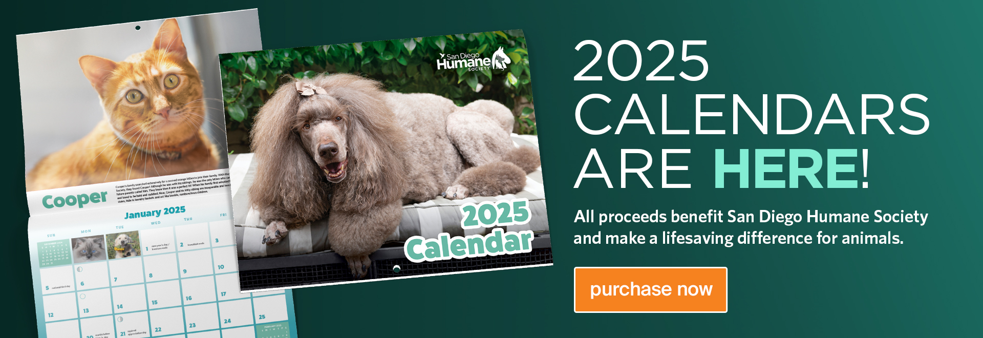 2025 Calendars are here, purchase now!