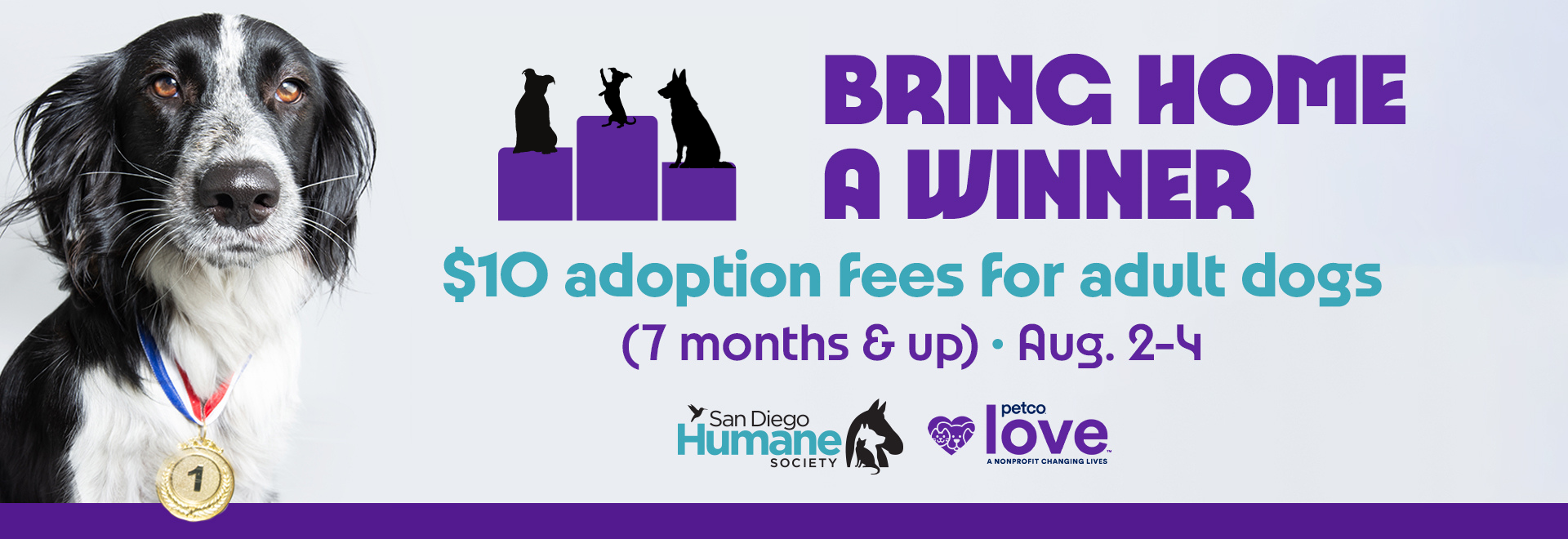 Bring home a winner | $10 Adoption fees for adult dogs (7 months & up) Aug. 2 - 4