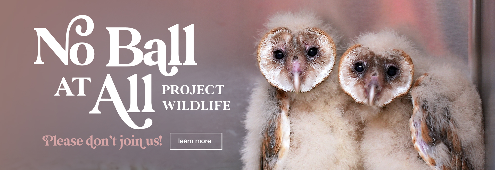 No Ball At All Project Wildlife - Please don't join us! Learn More