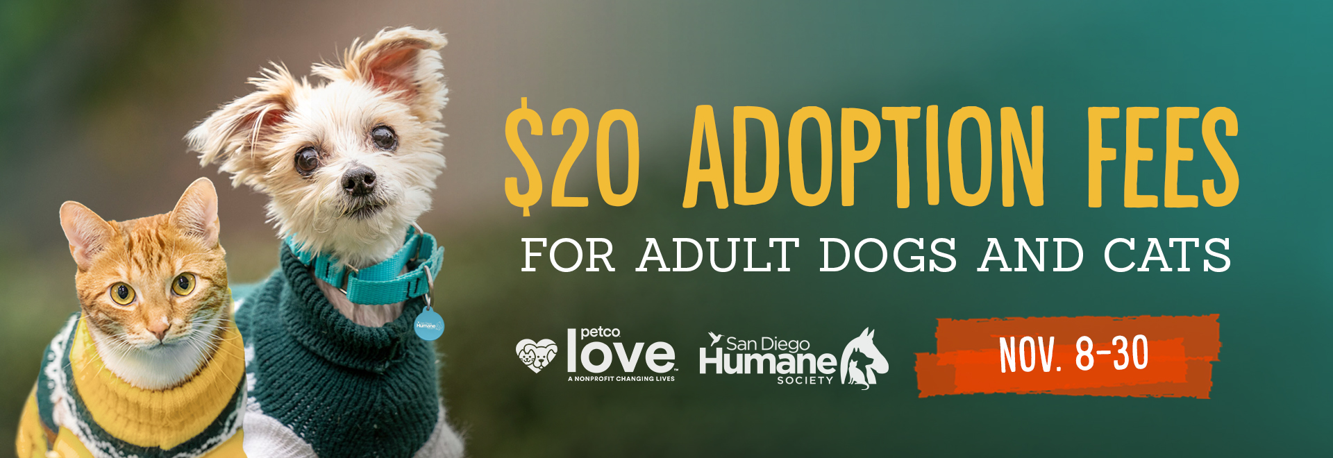 $20 Adoption Fees for Adult Dogs and Cats | Nov. 8-30