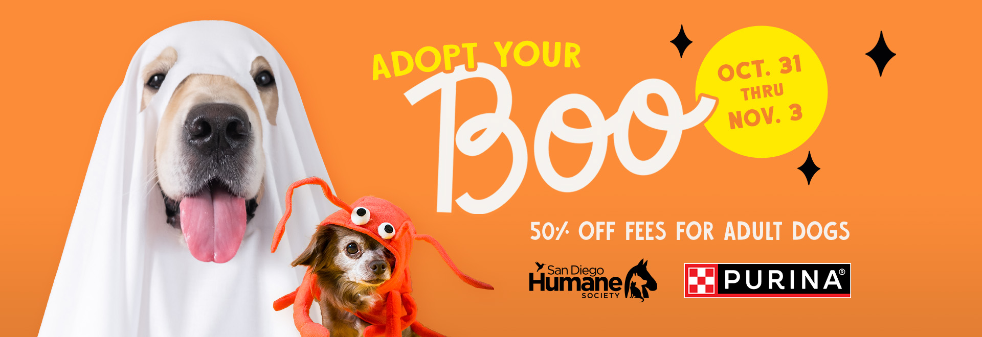 Adopt your Boo! Oct 31 - Nov 3 | 50% off fees for adult dogs