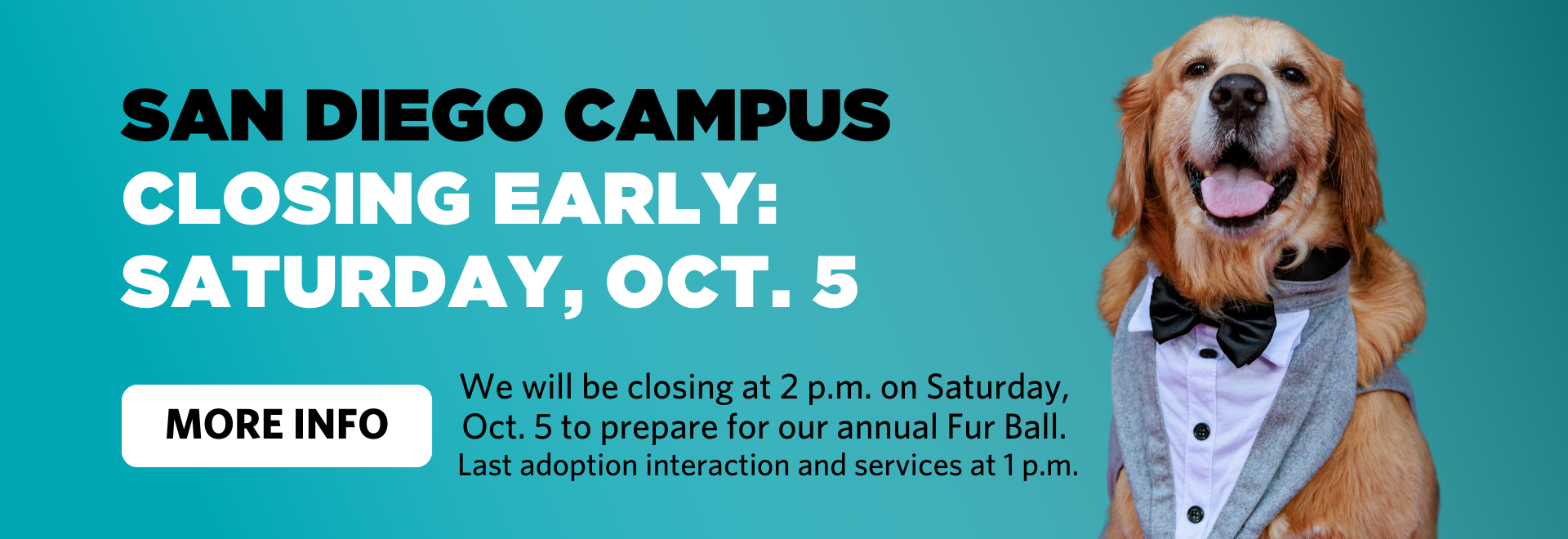 Our San Diego Campus will be closing at 2 p.m. on Saturday, Oct. 5 for our annual Fur Ball. The last adoption interaction and services will be at 1 p.m.