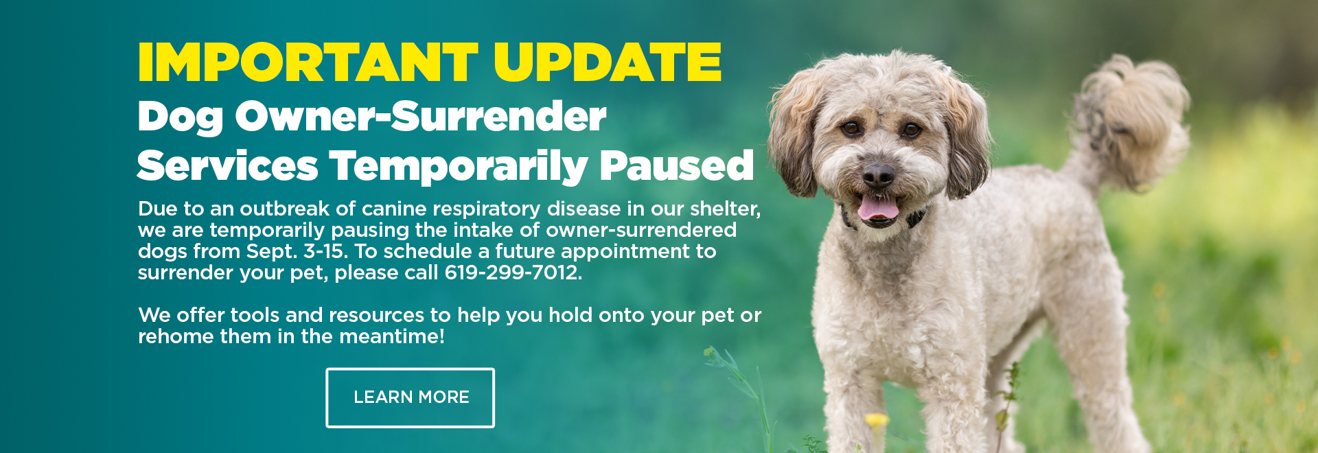 Important Update: Dog Owner-Surrender Services Temporarily Paused | Due to an outbrak of canine respiratory disease in our shelter, we are temporarily pausing the intake of owner-surrendered dogs from Sept. 3-15. To schedule a future appt. to surrender your pet, please call 619-288-7012. We offer tools and resources to help you hold onto your pet or rehome them in the meantime. Learn More