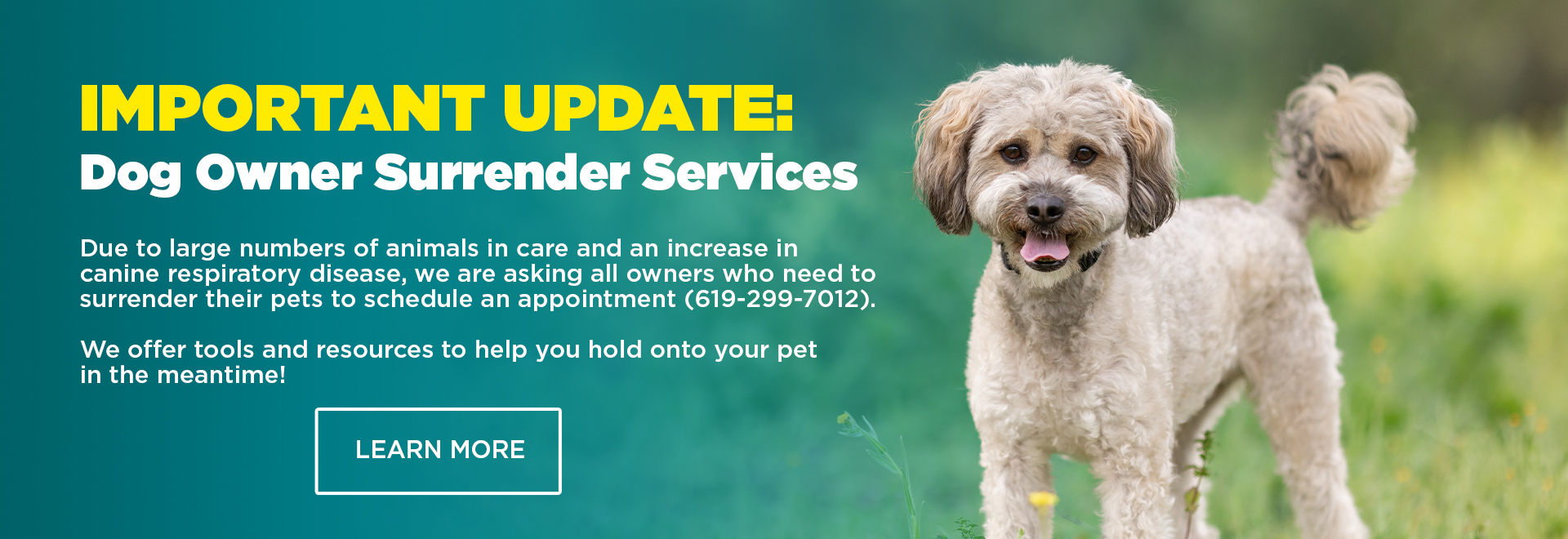 Important Update: Dog Owner Surrender Services | Due to large numbers of animals in care and an increase to canine respiratory disease, we are asking all owners who need to surrender their pets to schedule and appointment (619-299-7012) | We offer tools and resources to help you hold onto your pet in the meantime! | Learn More