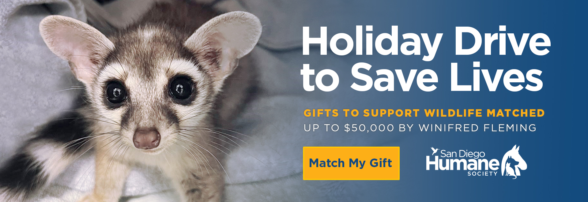 Holiday Drive to Save Lives | Gifts to support wildlife matched up to $50,000 by winifred fleming | Match My Gift