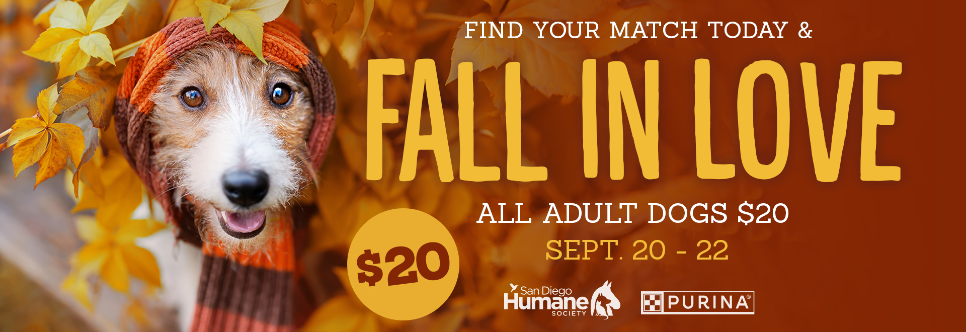 Fall In Love: All adult dogs are just $20 Sept. 20-22.