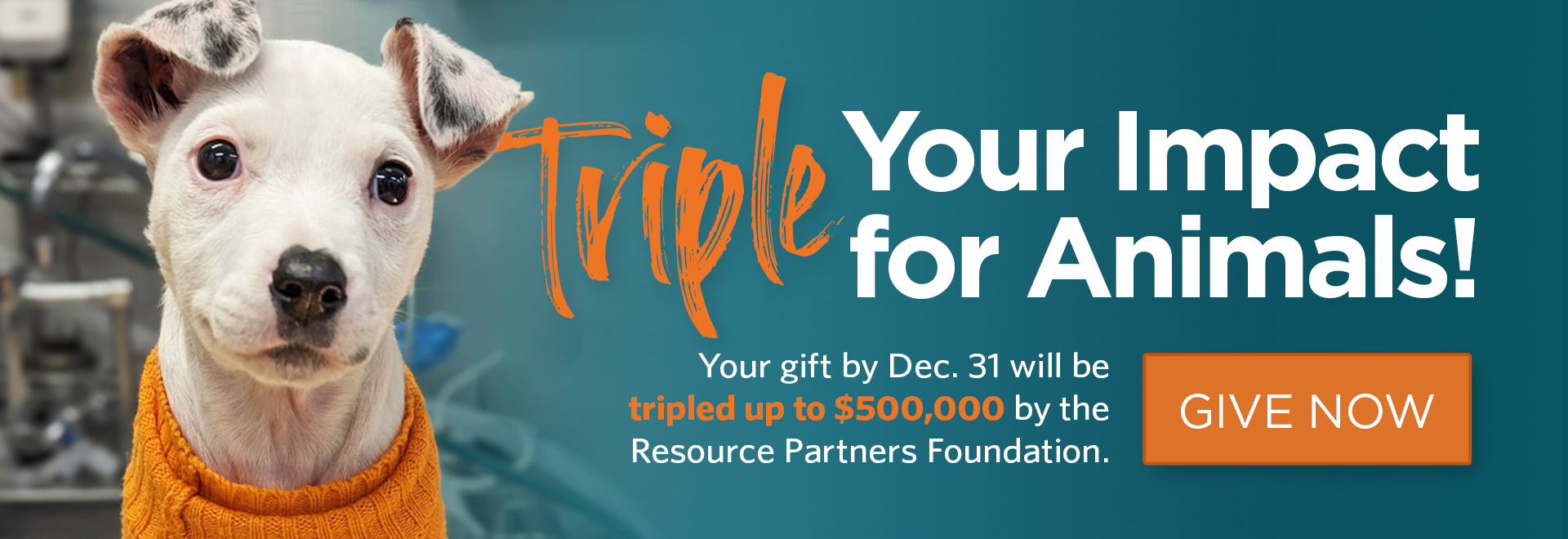 Triple Your Impact for Animals! Your gift by Dec. 31 will be tripled up to $500,000 by the Resource Partners Foundation.