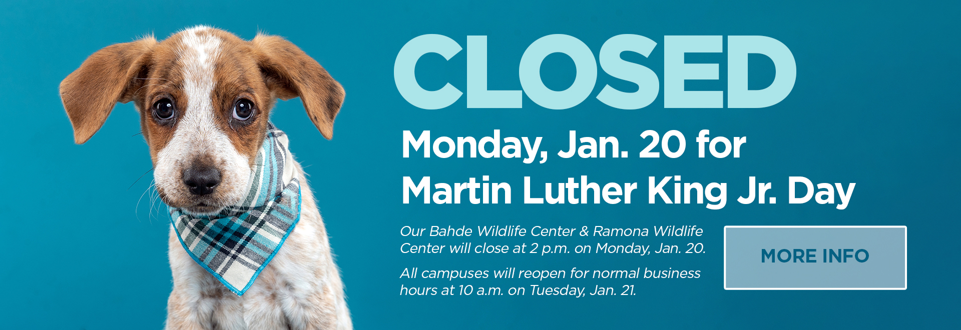 Closed Monday, Jan. 20 for Martin Luther King Jr. Day | Our Bahde Wildlife Center & Ramona Wildlife Center will close at 2 p.m. on Monday, Jan. 20. All campuses will reopen for normal buisness hours at 10 a.m. on Tuesday, Jan. 21 | More Info