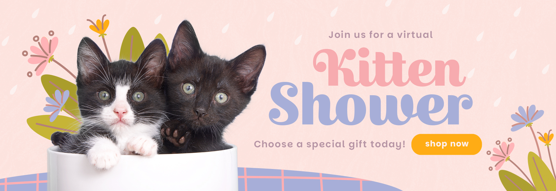 Join us for a virtual Kitten Shower | Choose a special gift today! | Shop Now