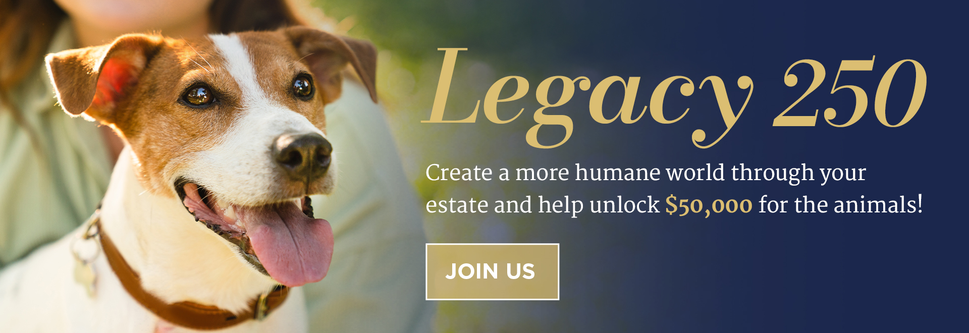 Legacy 250 | Create a more humane world through your estate and help unlock $50,000 for the animals!