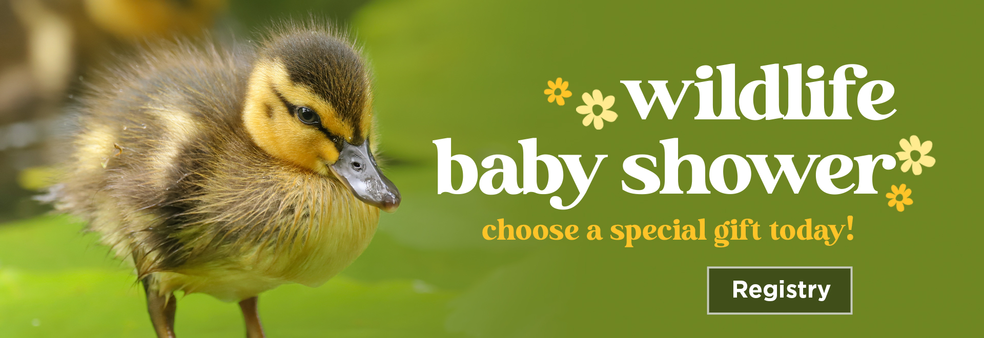 Wildlife Baby Shower | Choose a Special Gift Today! | Registry