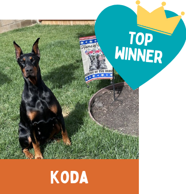 Koda