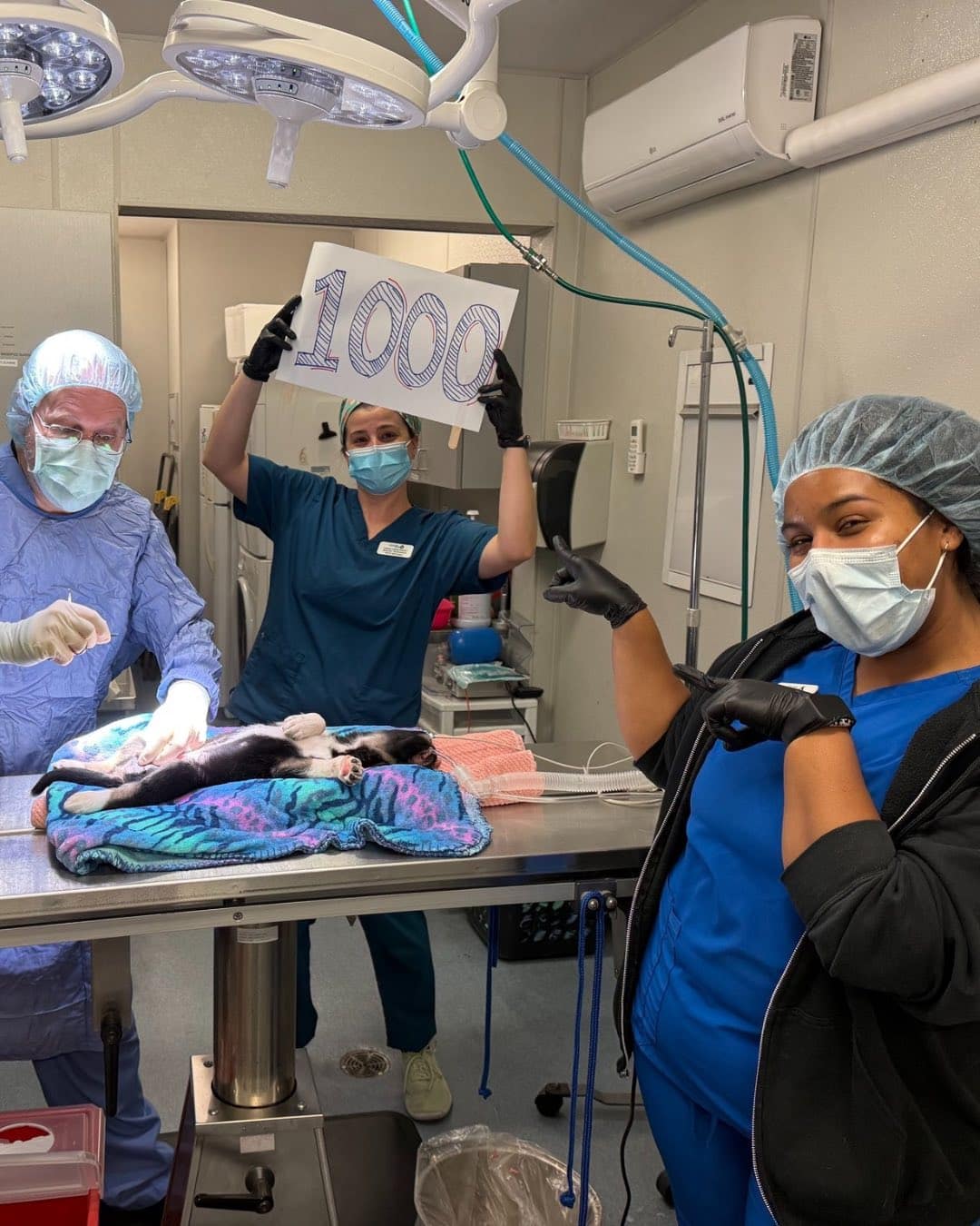 492915414 1247852970034808 2690904655955281809 N