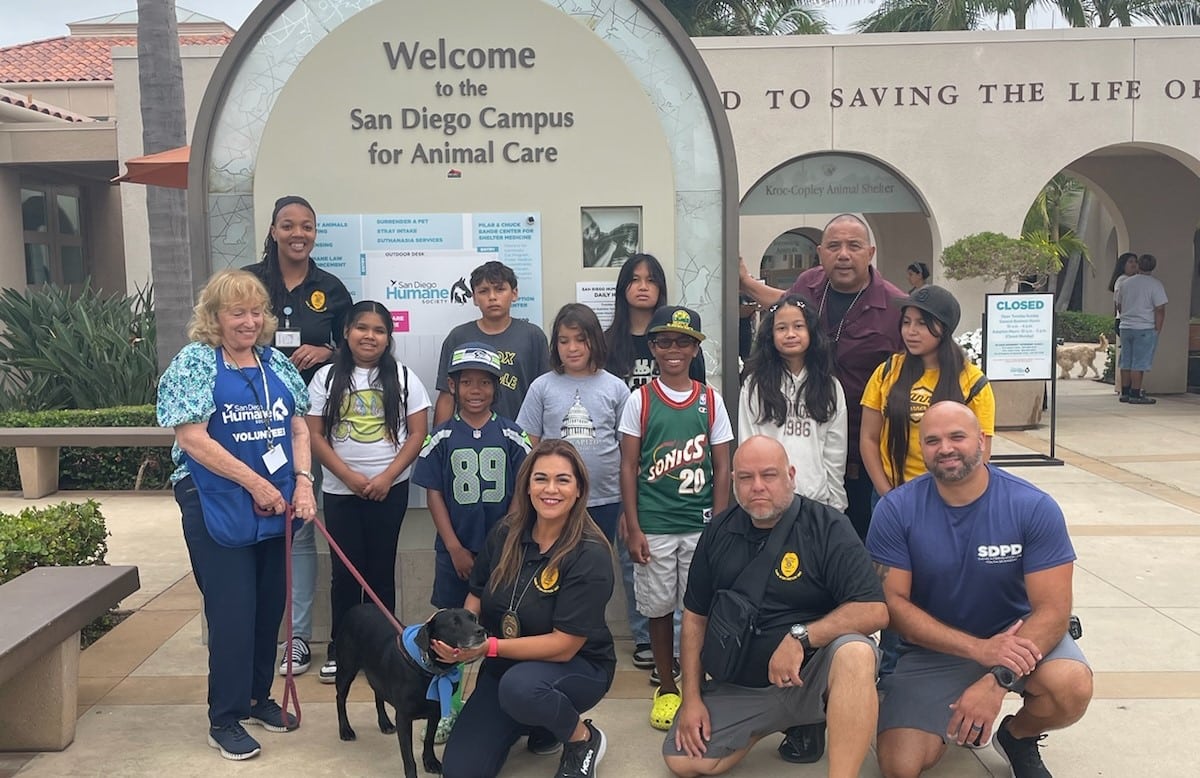 2024 Scout And Youth Groups