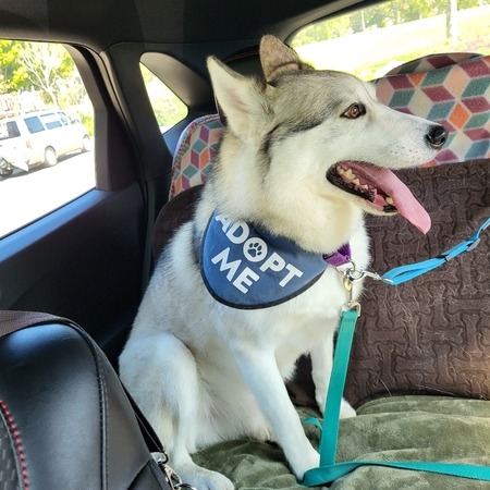 480898186 1197671165052989 8493575177980176243 N