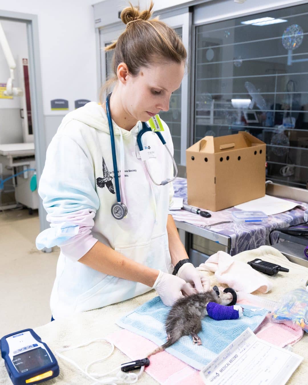 493273453 1247852930034812 1742846132067365278 N