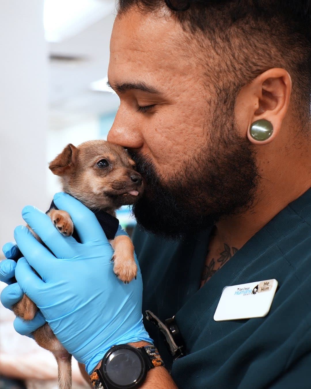 494207631 1247852936701478 3077459412890253870 N