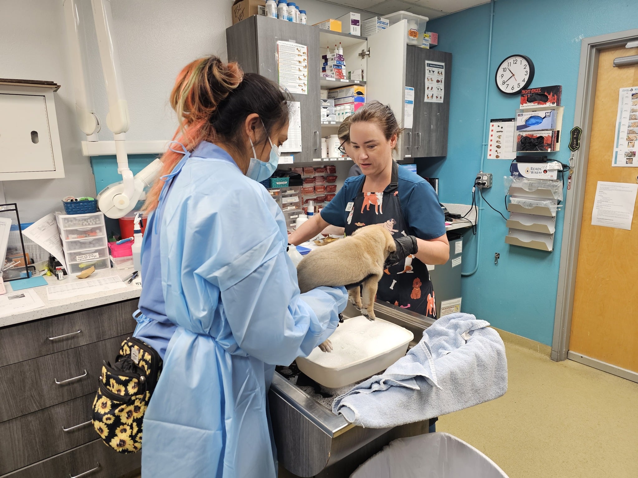 499217658 1266133971540041 6302385656029324144 N