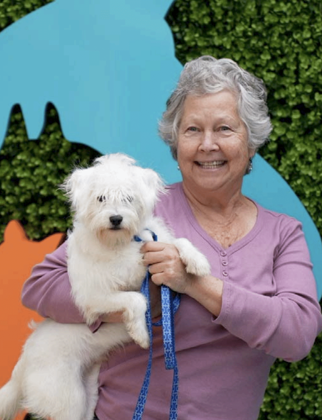 Tofu, one of the first pets adopted from
the new Adoptions Center!