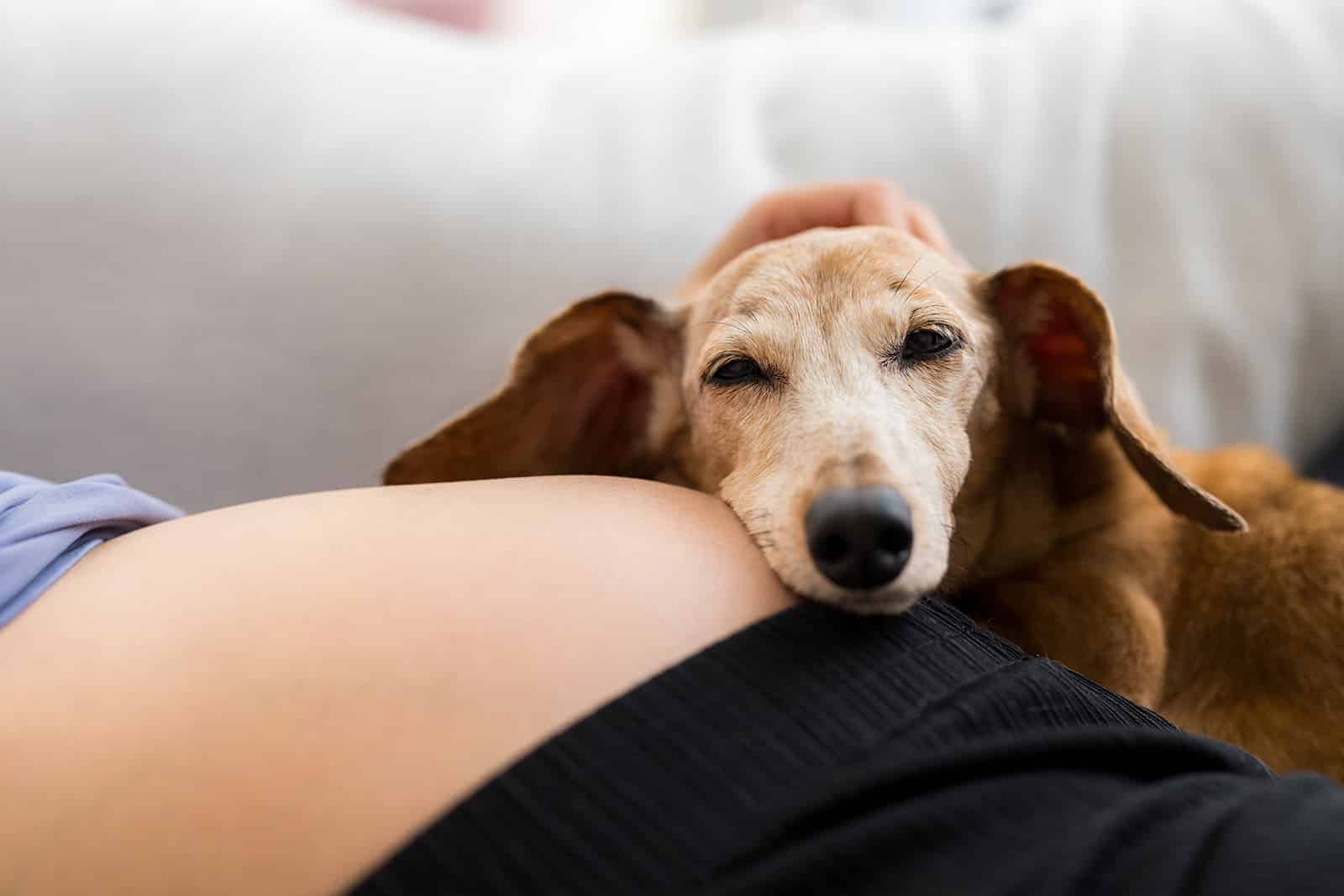 Shutterstock 2490403411