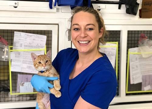 Special Skills Volunteer