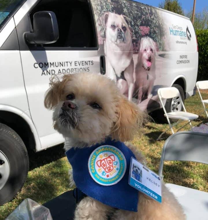 Volunteer Canine Ambassador
