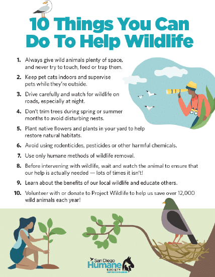 10 Things To Help Wildlife