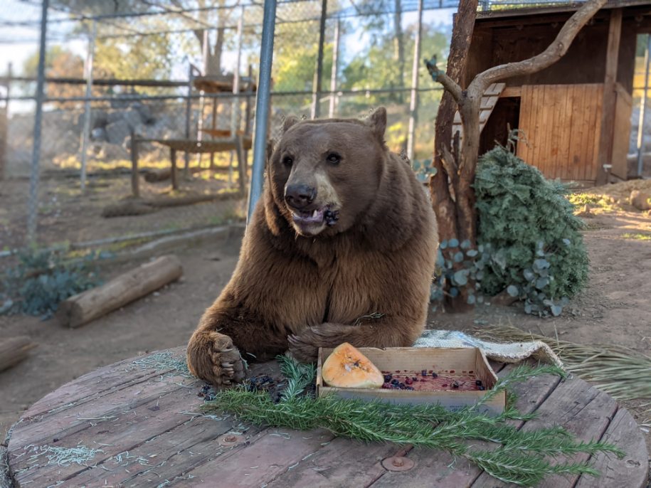 471421024 10160095361251741 2395764457190766400 N