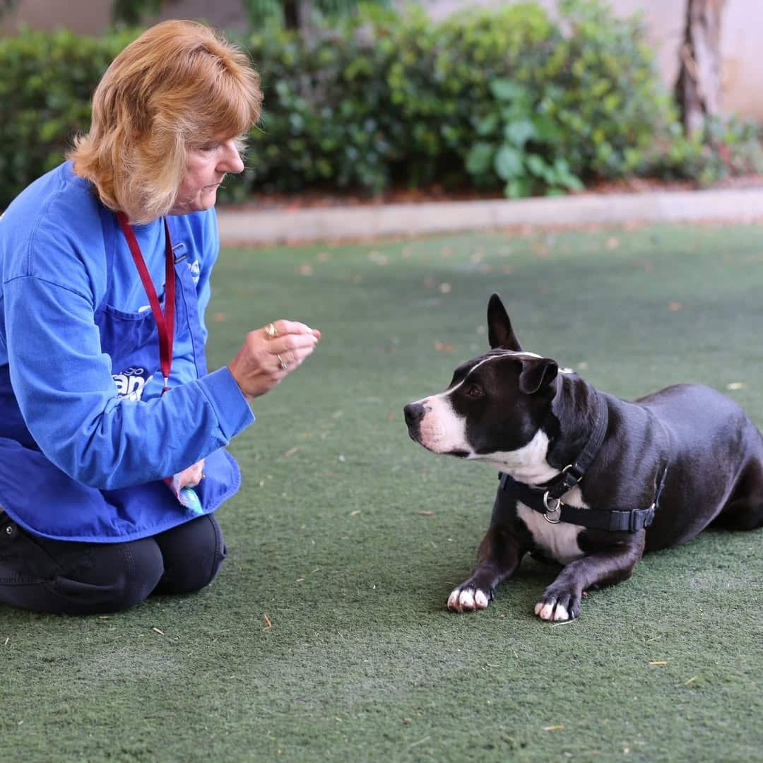 480231620 1196458968507542 7441690783331340776 N