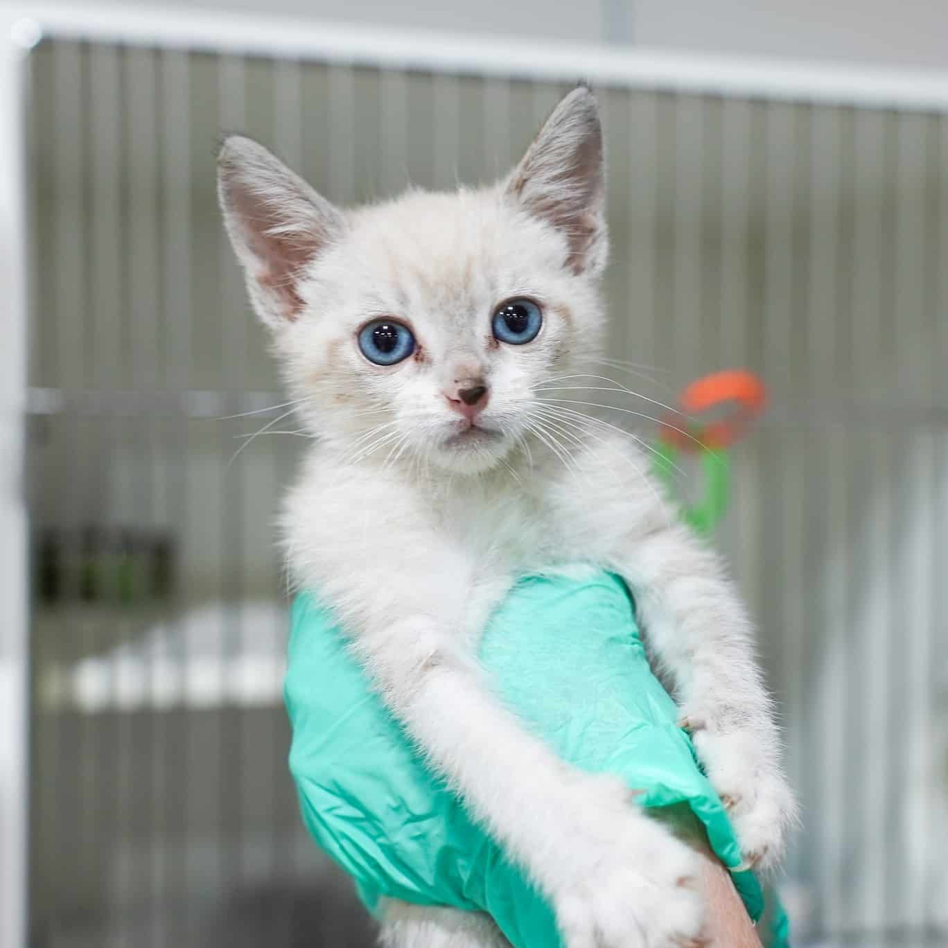 502459179 1271650670988371 435024635402443195 N