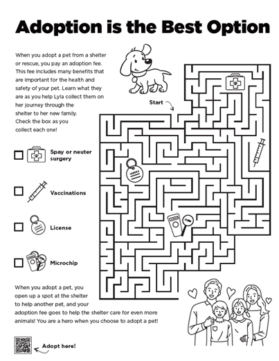 Adoption Maze