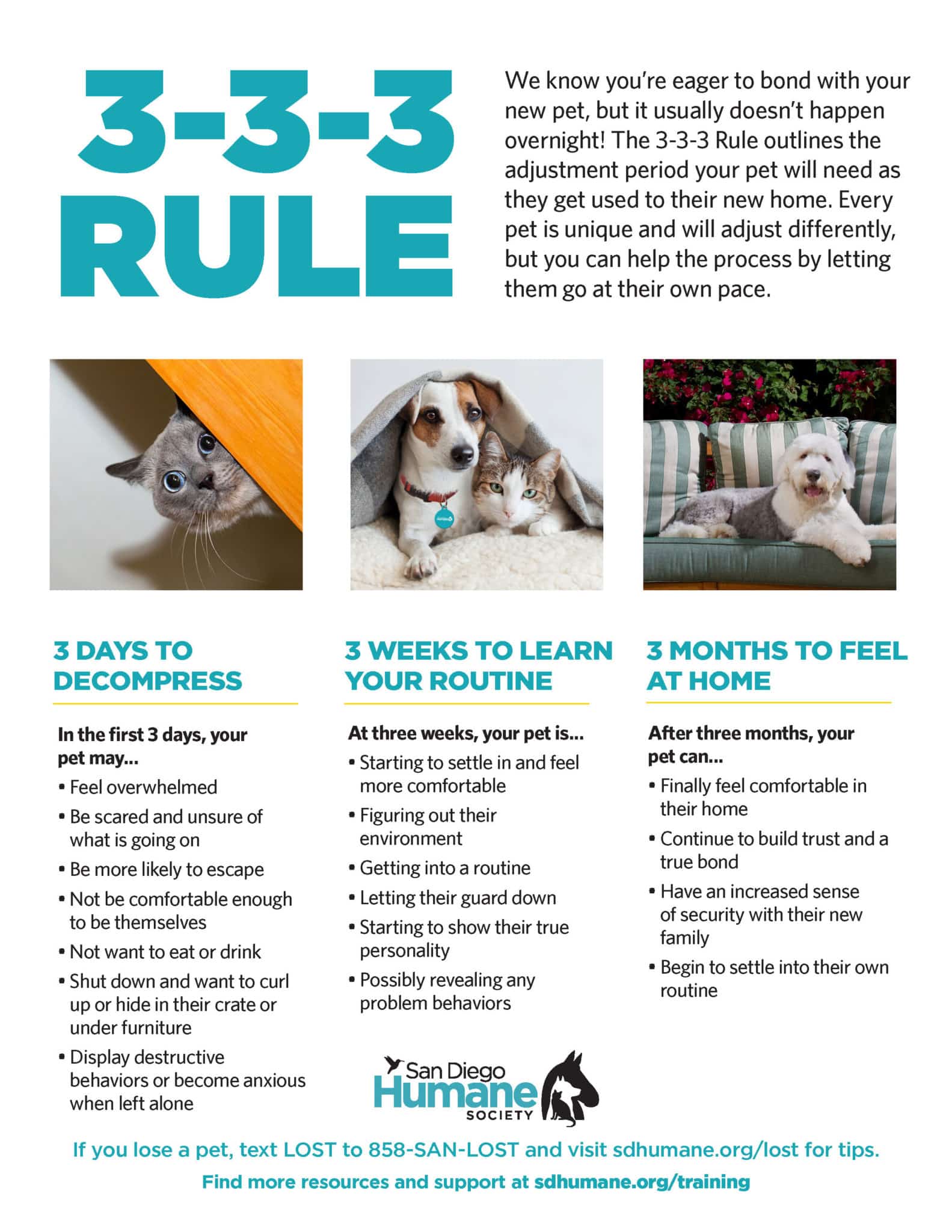 BT25 333Rule 8.5x11 Page 1