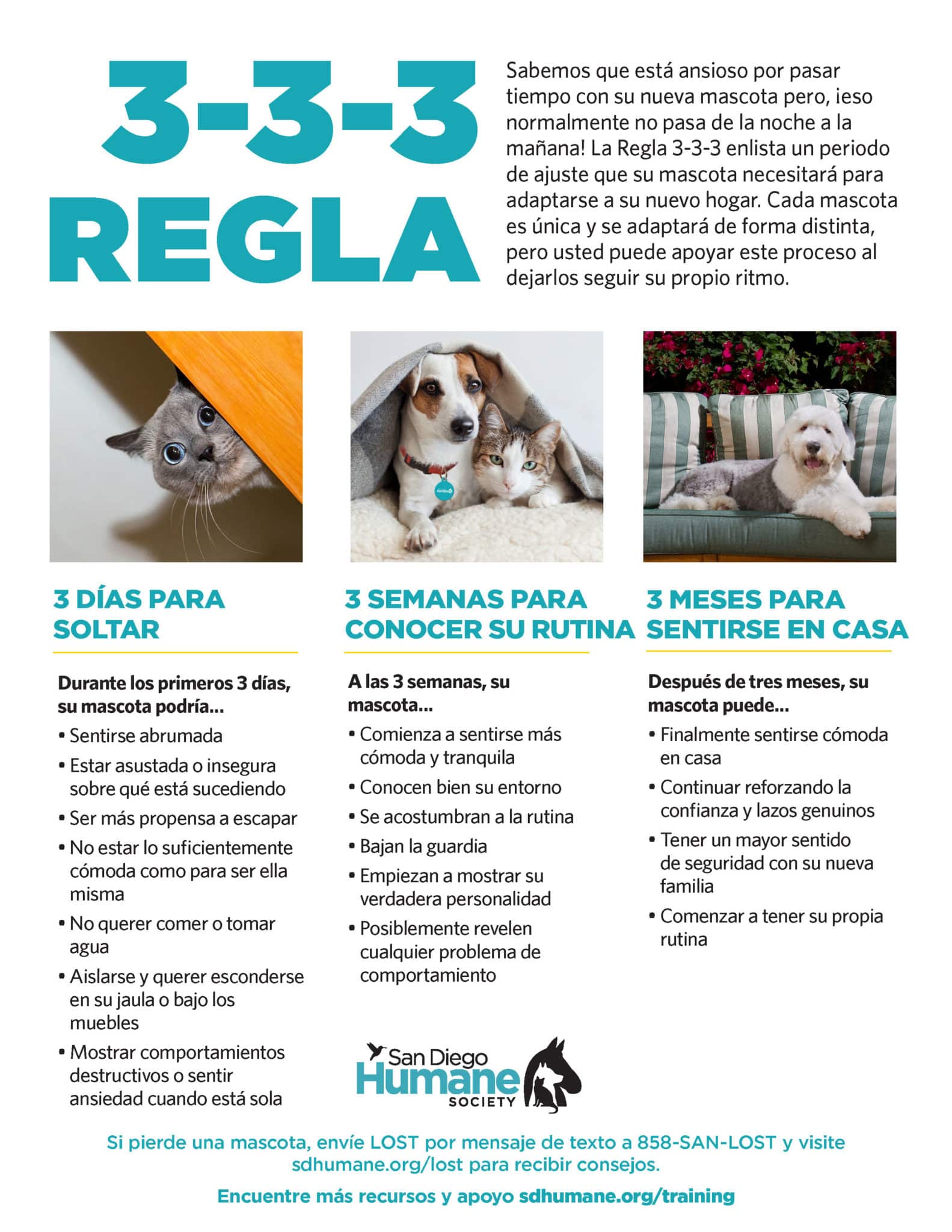 BT25 333Rule 8.5x11 Page 2