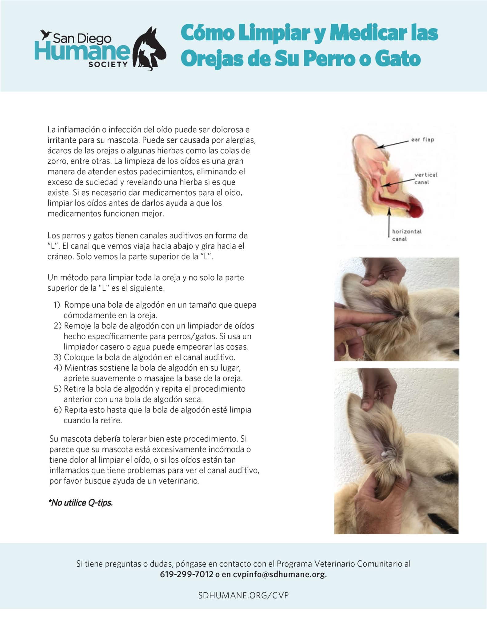 CVP25 EarCleaningHandout Page 2