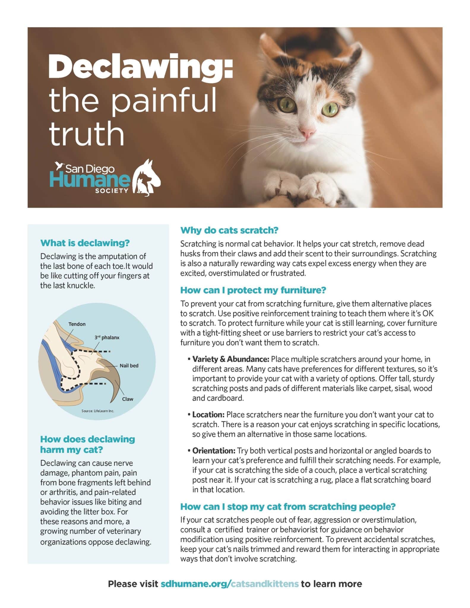 Declaw Factsheet