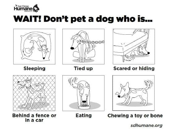 Dont Pet A Dog