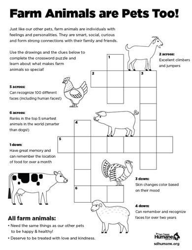 Farm Animals Activity