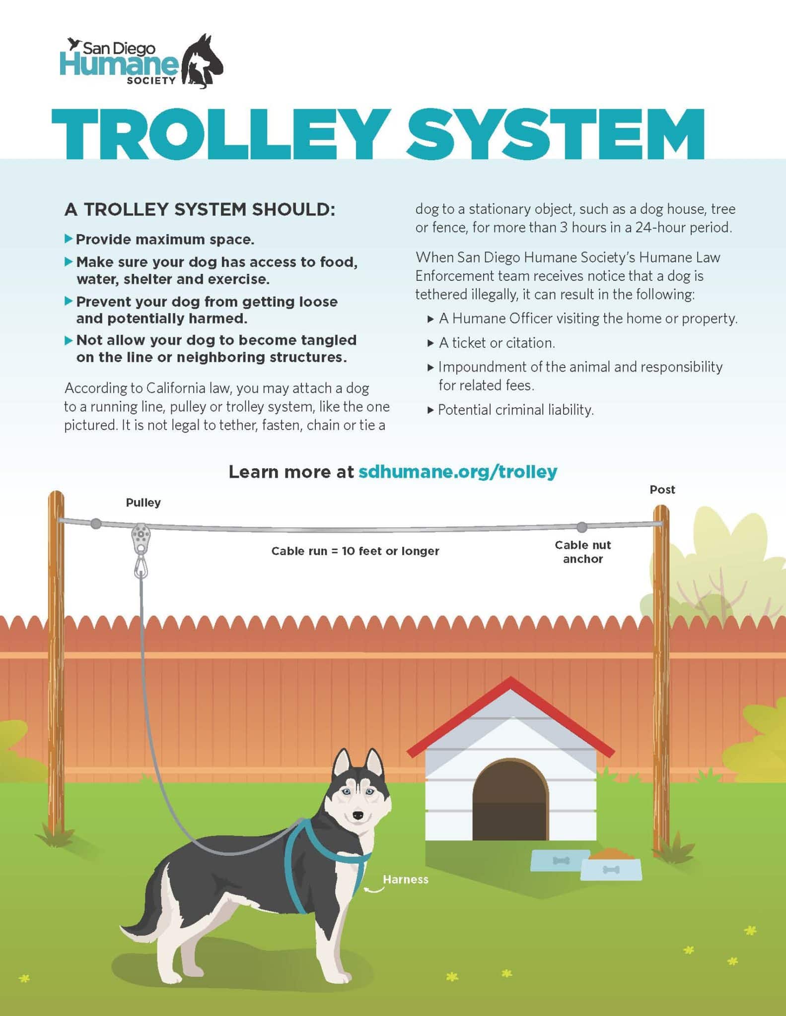 Instructions to use a trolley system for a dog