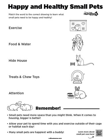 Happy Healthy Small Pets