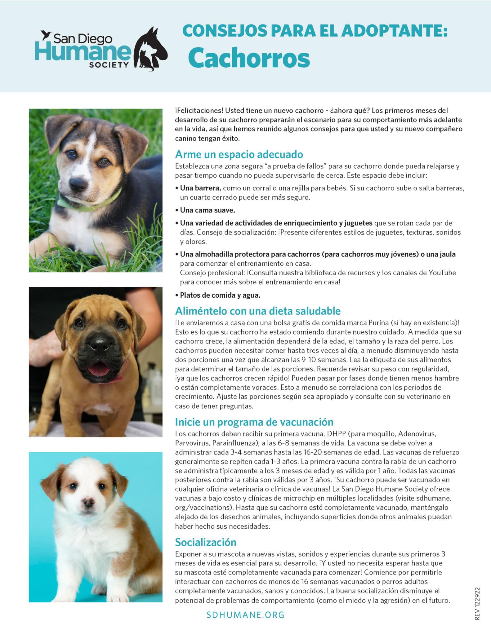 OPS22 Puppyadopt8.5x11 ESP Page 1