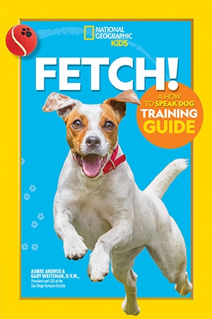 Fetch Cover
