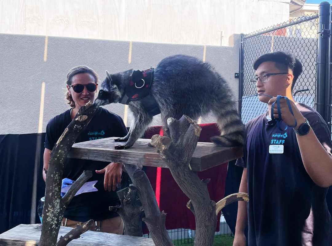 Pw Speaking Engagement Preview