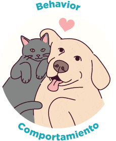 Why Spay And Neuter 01