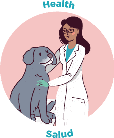 Why Spay And Neuter 03