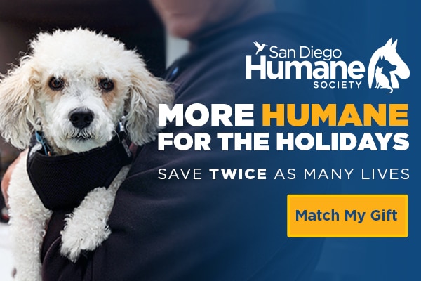 More Humane for the Holidays, Save twice as many lives | Match My Gift
