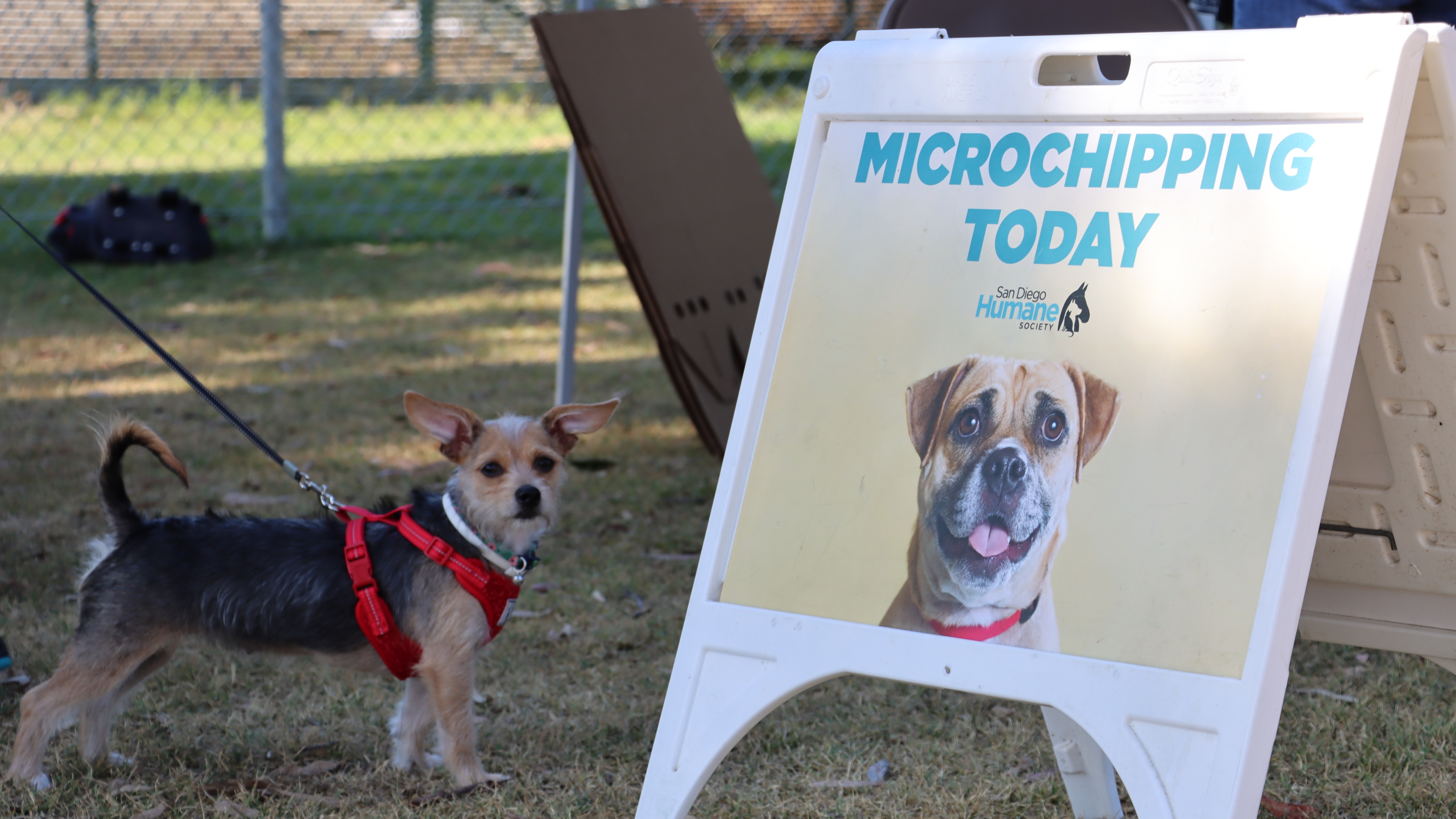 Memorial Park Pup Up Event_PT_062522_10.JPG