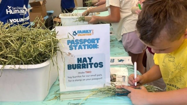 Young person volunteers with San Diego Humane Society.