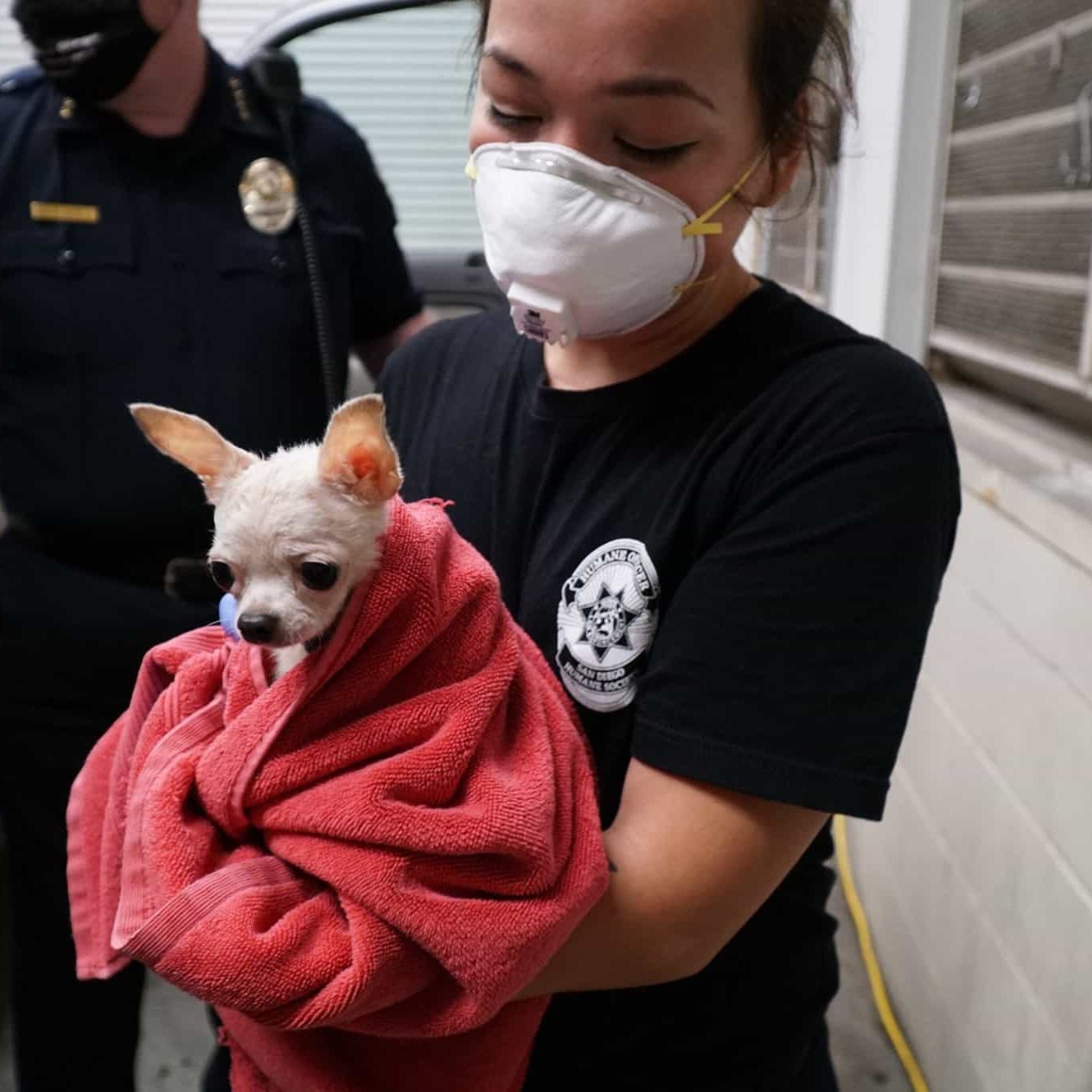 149855096 10157351503791741 1471291176204333325 N