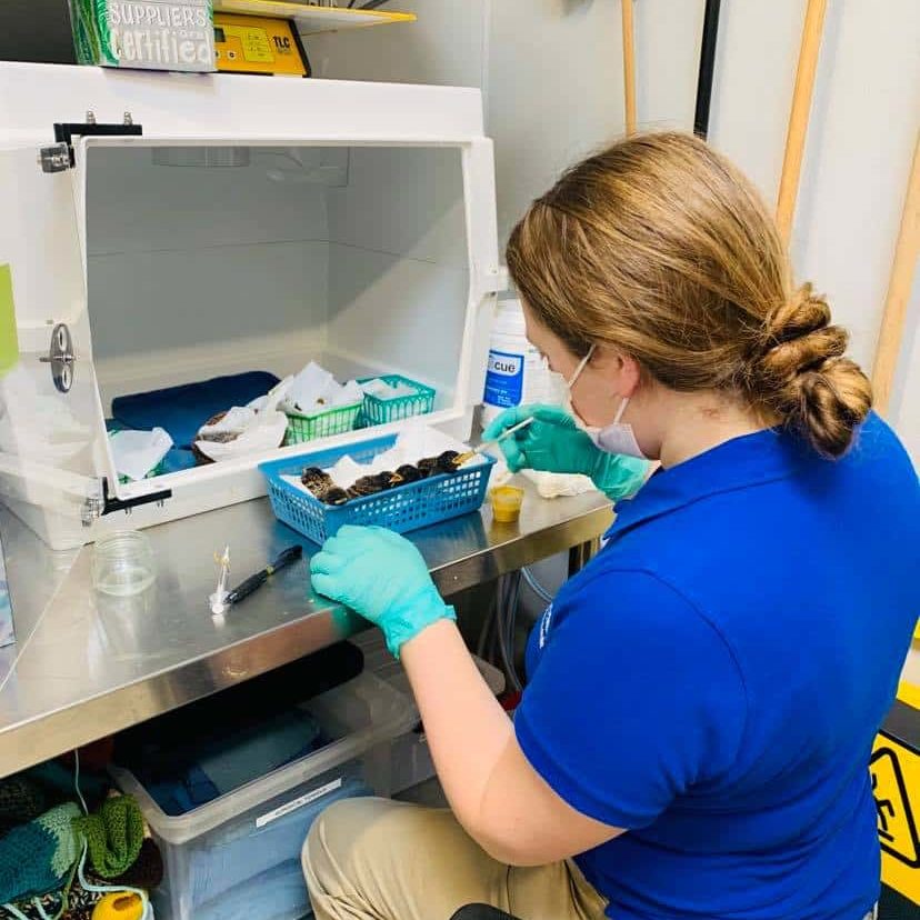 176258223 10157487459786741 7820052542440355918 N