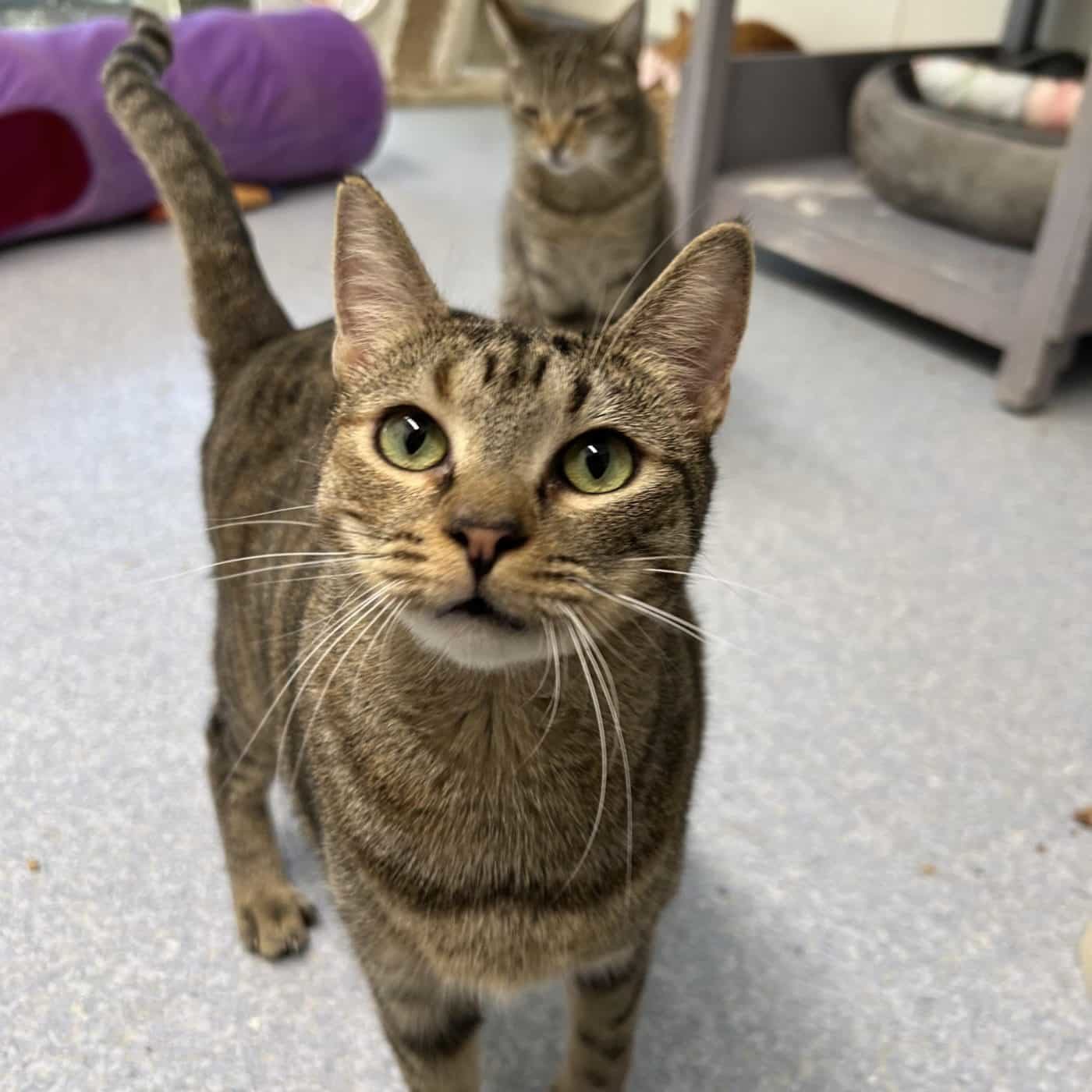 2f65b730 7c00 4aac Ad75 A123d377016a